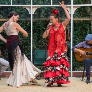 zespol flamenco